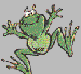 frog42.gif